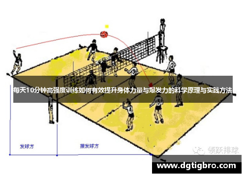 每天10分钟高强度训练如何有效提升身体力量与爆发力的科学原理与实践方法