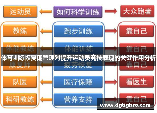 体育训练恢复期管理对提升运动员竞技表现的关键作用分析